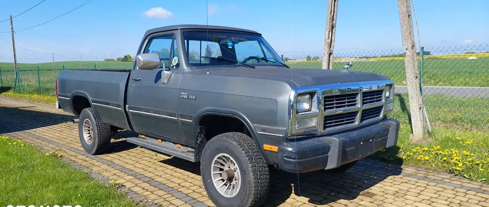 dodge podkarpackie Dodge RAM cena 31000 przebieg: 209000, rok produkcji 1990 z Skwierzyna